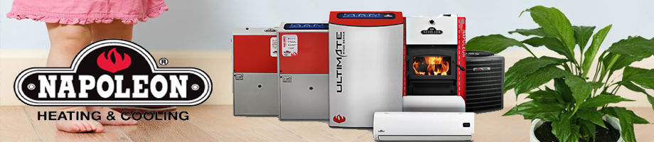 napoleon furnace